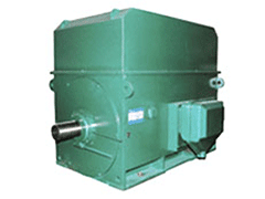 Y6304-12YMPS磨煤机电机品质保证