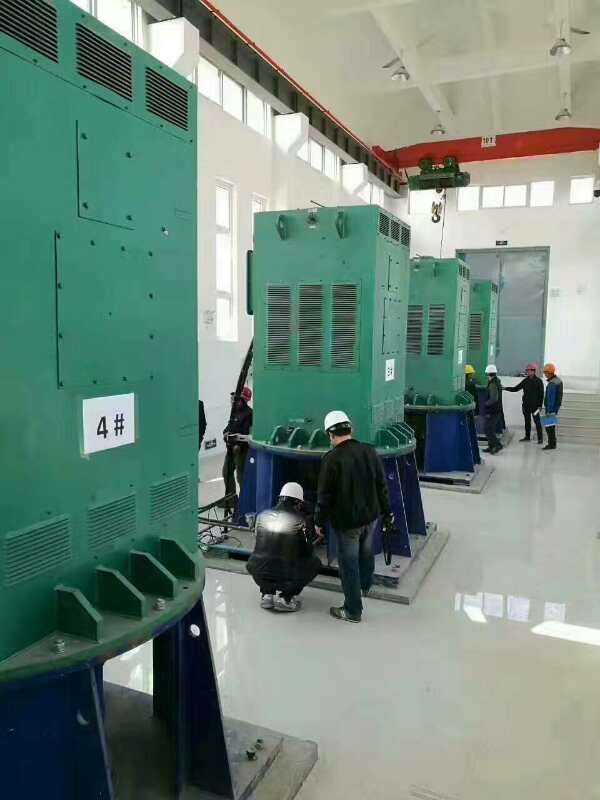 Y6304-12某污水处理厂使用我厂的立式高压电机安装现场